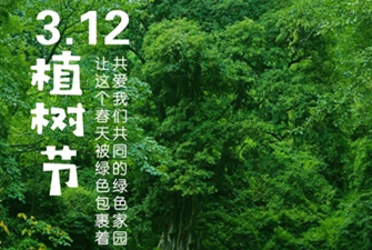 展覽設(shè)計(jì)公司告訴您-植樹(shù)節(jié)綠色設(shè)計(jì)